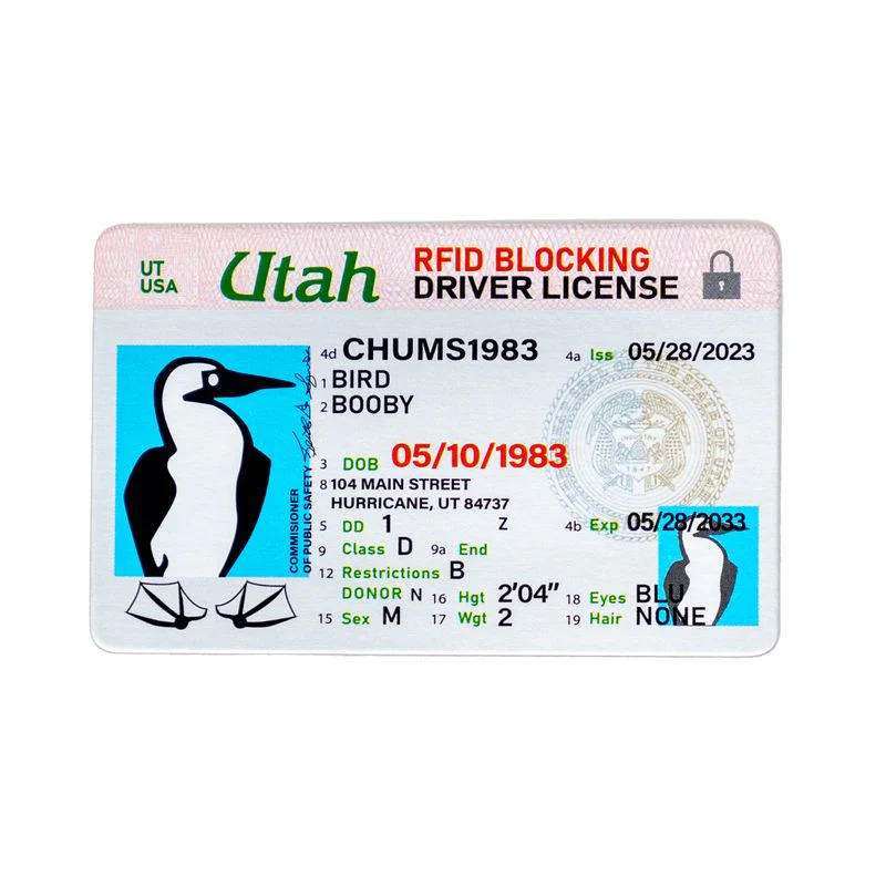 Surfshorts Wallet Patterns - Image 63